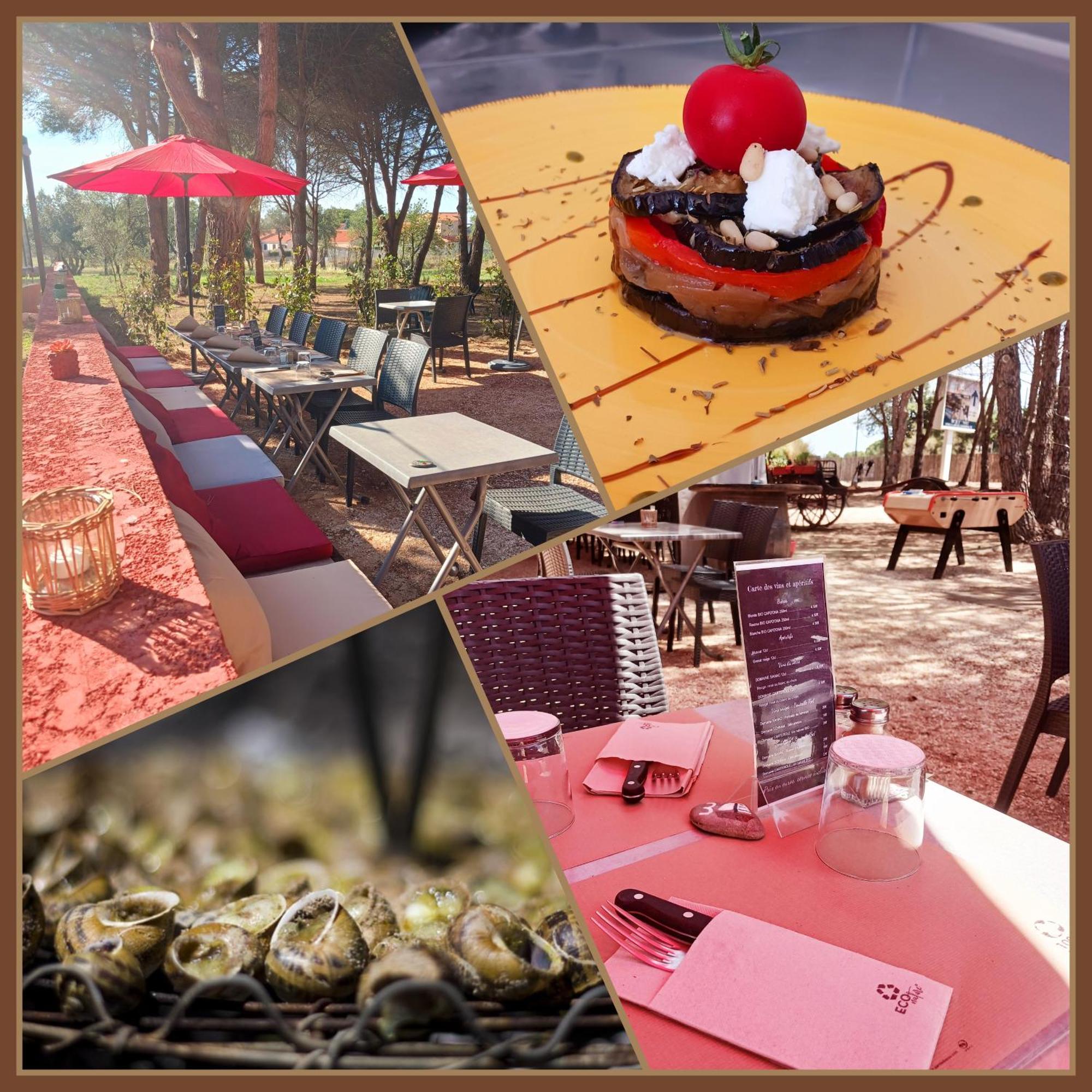 Mon Fare Apartment Argeles-sur-Mer Bagian luar foto